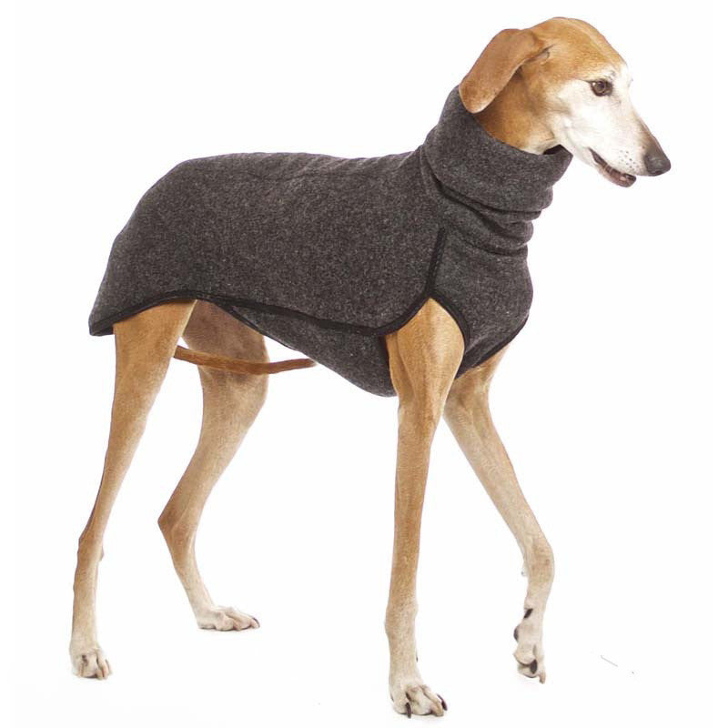 Ropa Invernal de Alta Protección – Abrigo Cómodo con Cuello Alto para Mascotas Activas