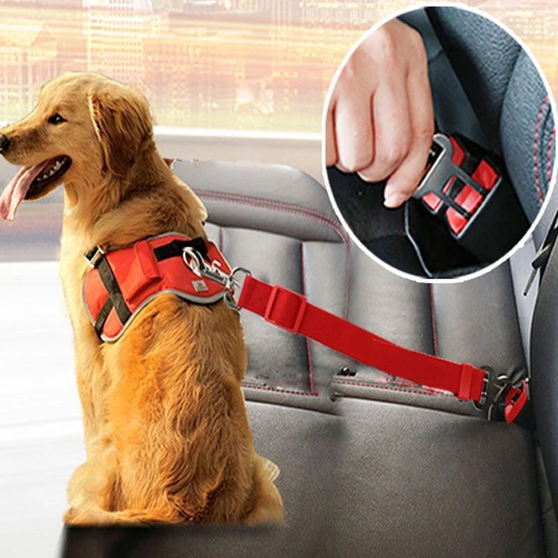 Correa de Seguridad Ajustable – Para Viajes Seguros en Auto con tu Mascota