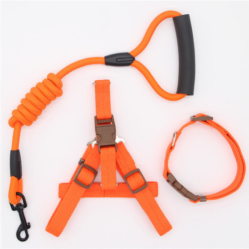 Correa Ajustable para Perros – Nylon Resistente para Mascotas de Todos los Tamaños