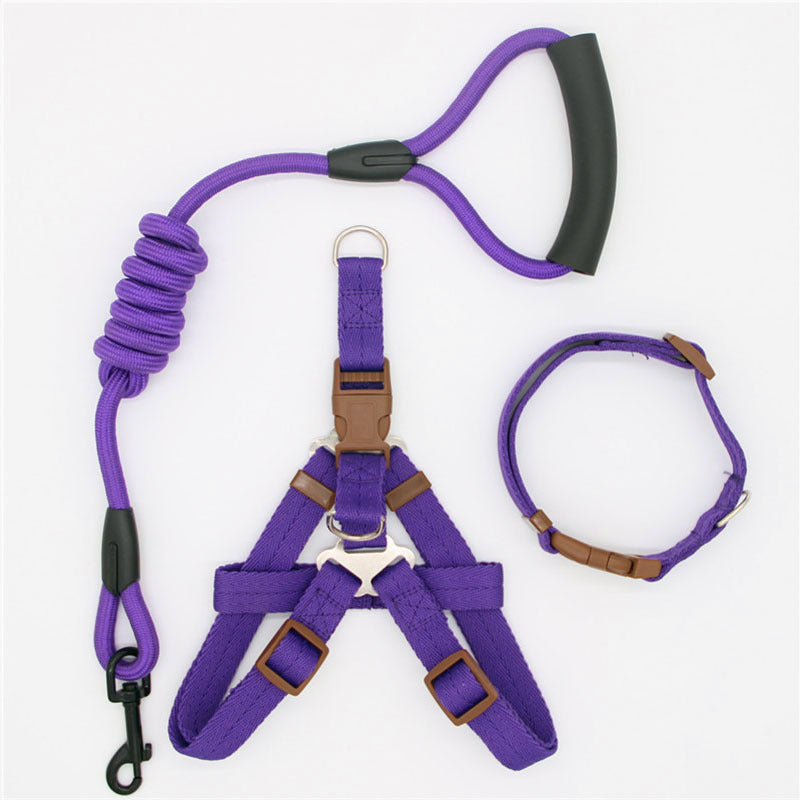 Correa Ajustable para Perros – Nylon Resistente para Mascotas de Todos los Tamaños