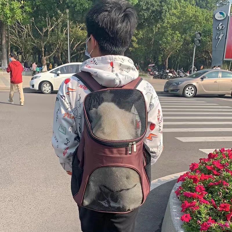 Mochila Portátil para Mascotas – Diseño Transpirable y Seguro para Viajes Diarios