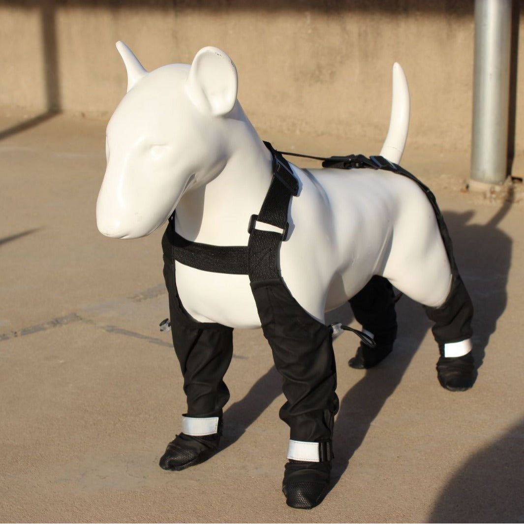 Waterproof Dog Shoes for All-Weather Protection