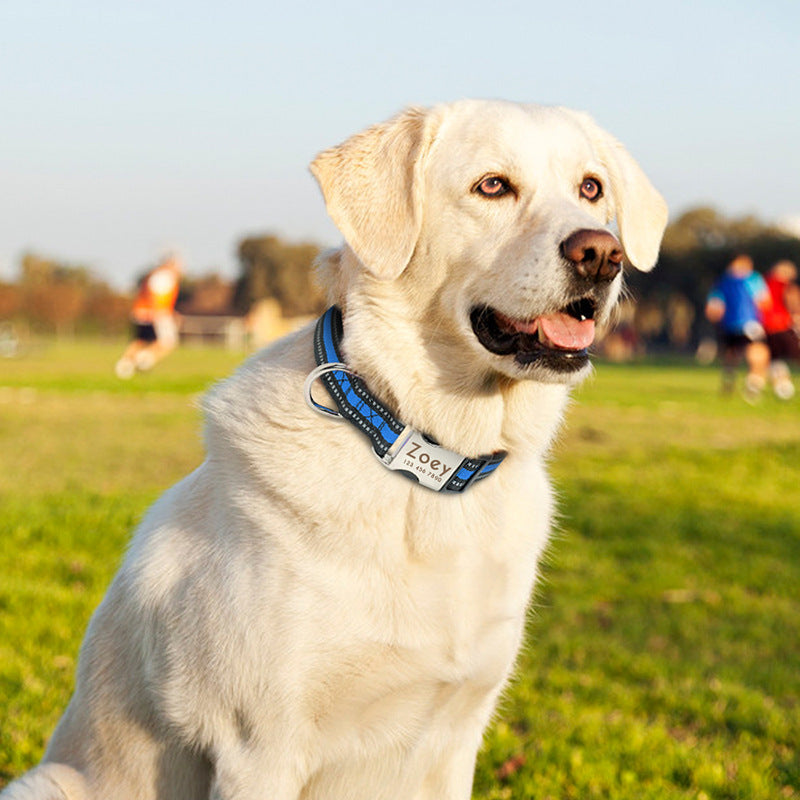 Collar Personalizado para Perros – Ajustable, Reflectivo y con Grabado Gratis