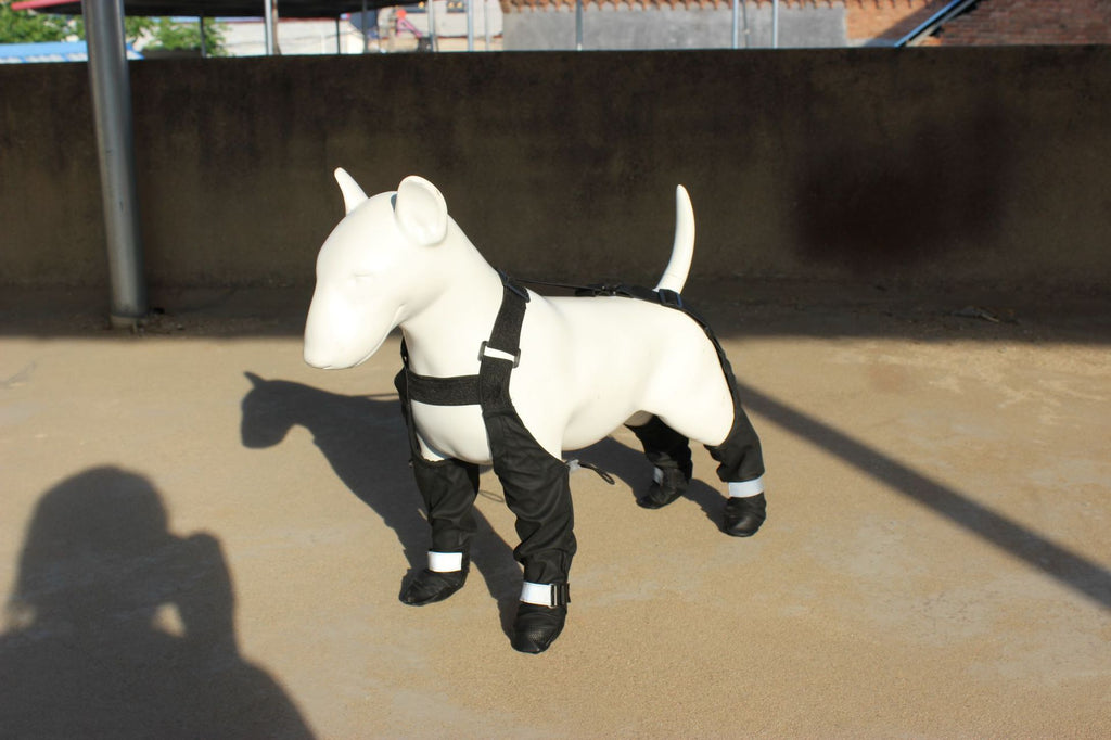 Waterproof Dog Shoes for All-Weather Protection