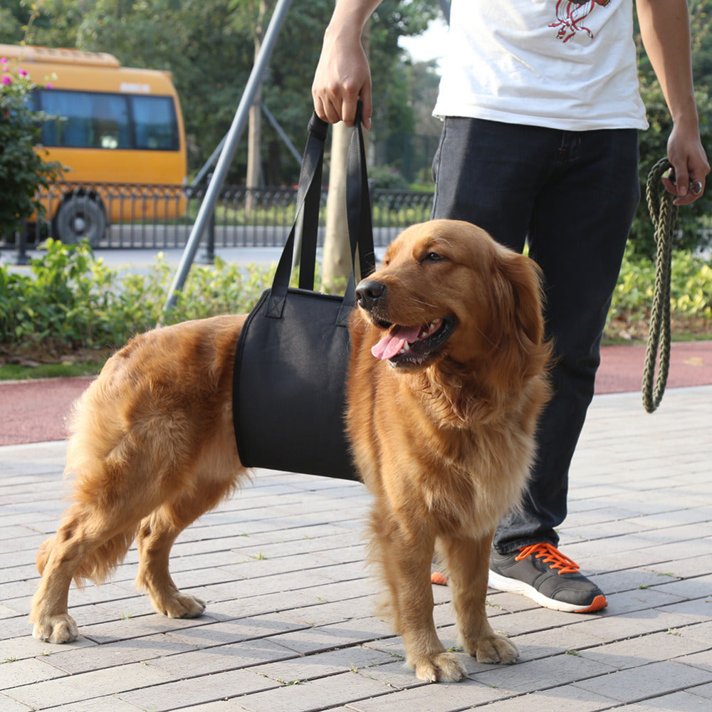 Cinturón de Asistencia para Perros Heridos o con Movilidad Reducida