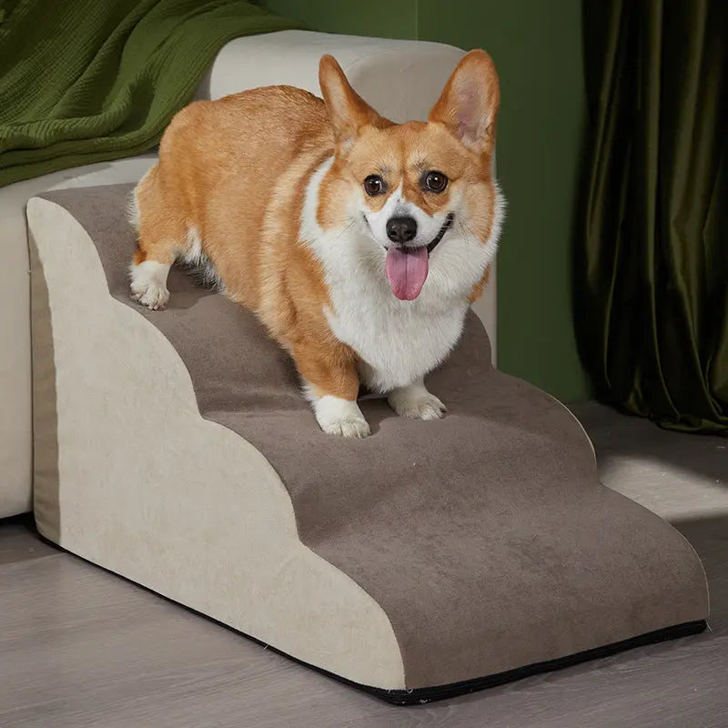 Escalera Suelta para Perros – Diseño Inclinado y Sin Riesgo de Resbalones 🐶
