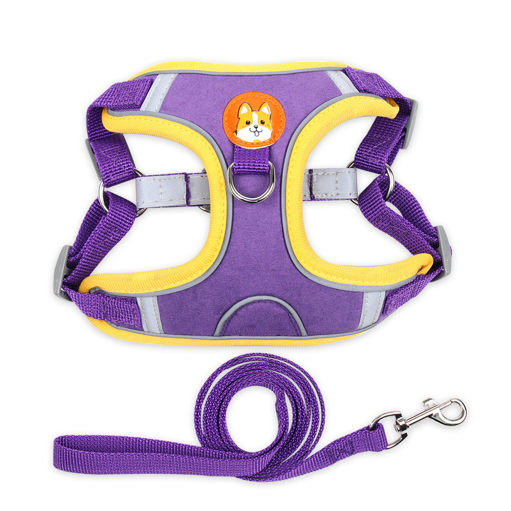 Tazón de Acero Inoxidable para Paseos
