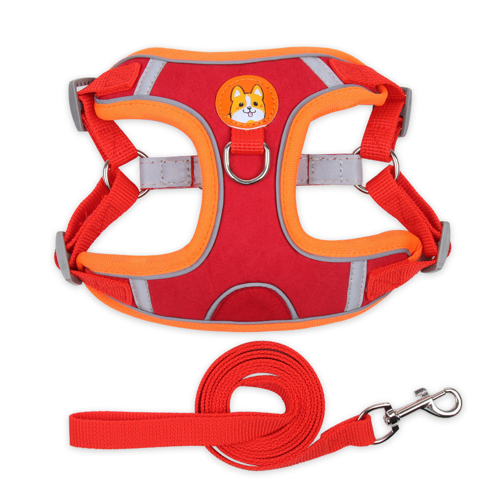 Tazón de Acero Inoxidable para Paseos