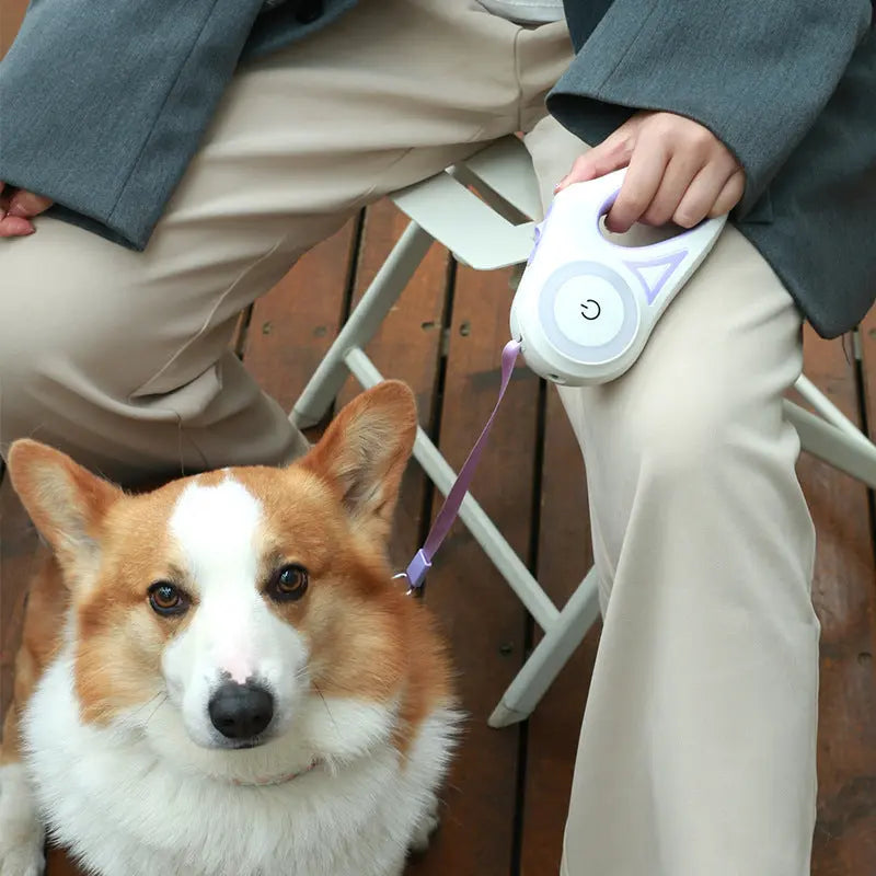 Smart Leash That Lights Up Automatically