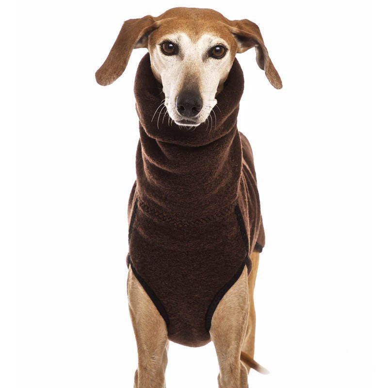 Ropa Invernal de Alta Protección – Abrigo Cómodo con Cuello Alto para Mascotas Activas