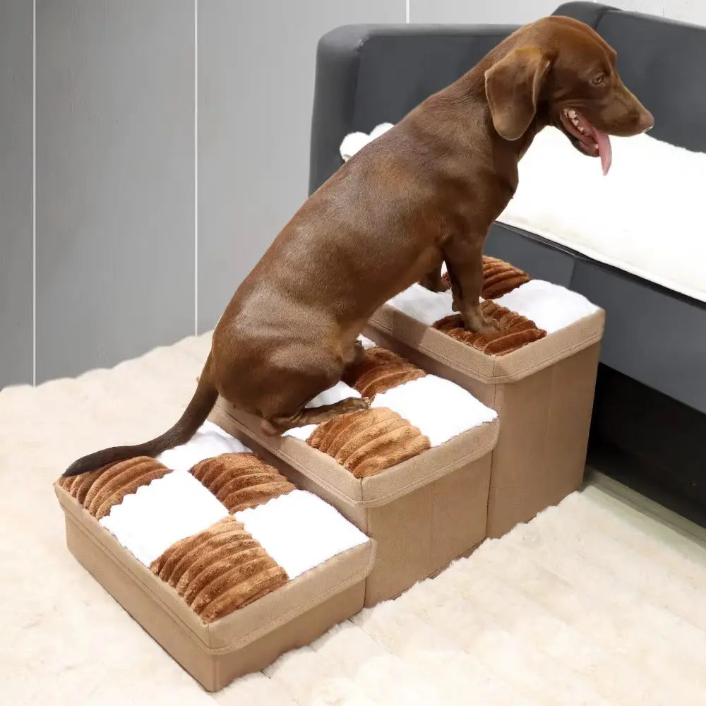 Escaleras Tipo Mueble – Para Perros y Diseño de Interiores con Estilo 🏠✨