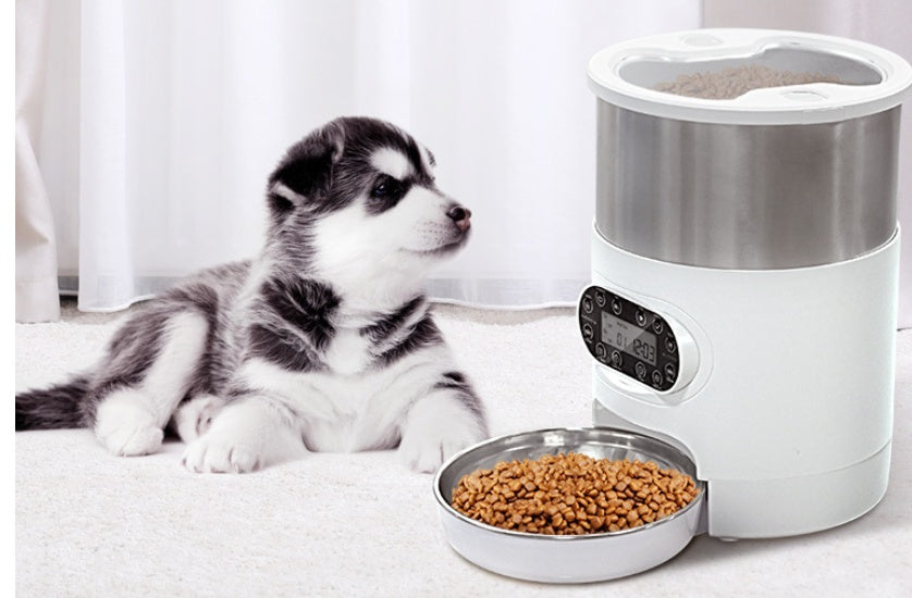 Comedero Automático con App. Alimenta a tu Mascota desde el Teléfono