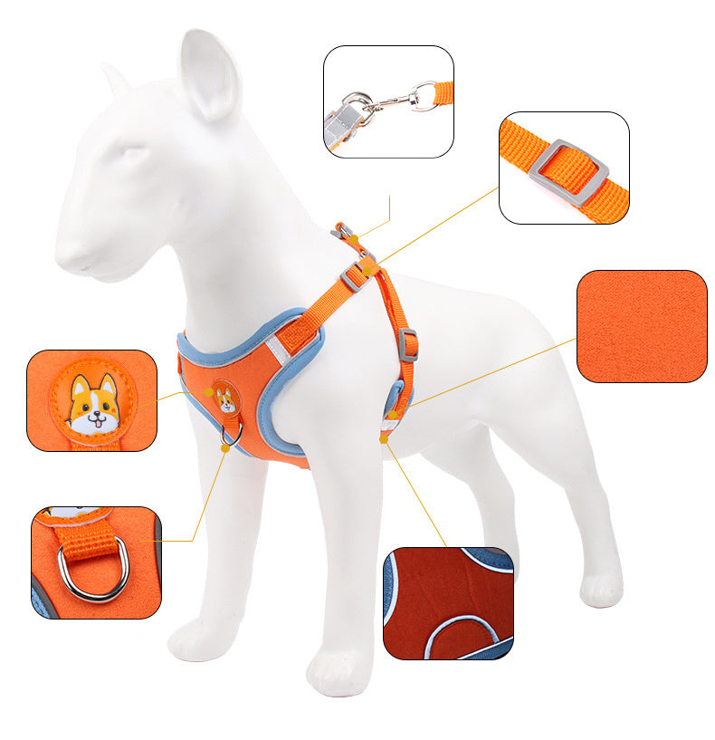 Tazón de Acero Inoxidable para Paseos