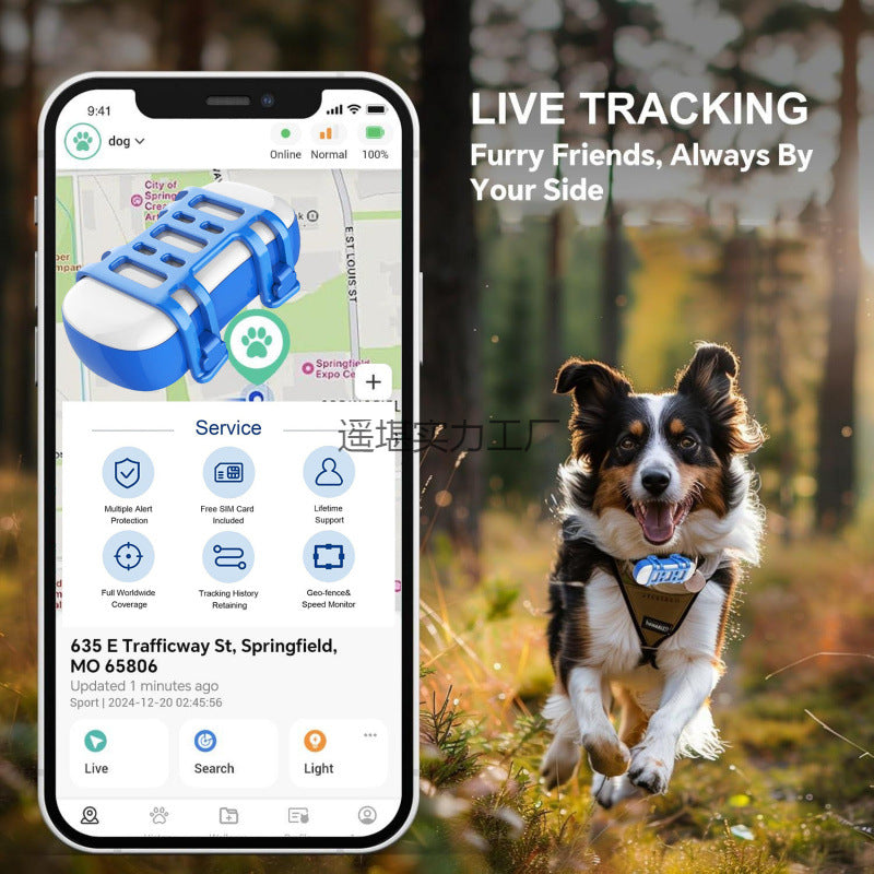 GPS Premium para Mascotas – Rastreo en Tiempo Real, Cobertura Mundial y Alertas Inteligentes