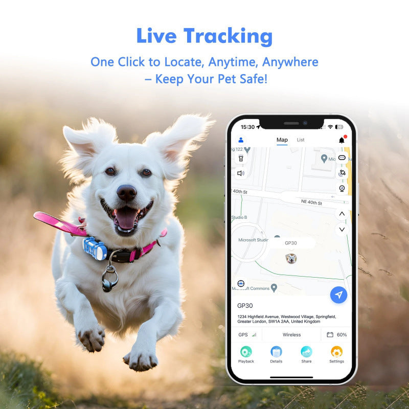 GPS Premium para Mascotas – Rastreo en Tiempo Real, Cobertura Mundial y Alertas Inteligentes