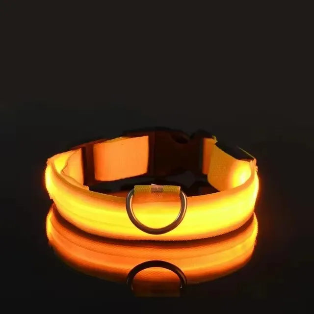BOOTEELY Nylon LED Night Safety Flashing Glow In The Dark Dog Leash Dogs Luminous Fluorescent Pet Dog Collar