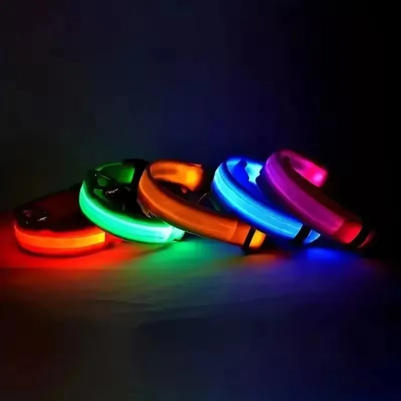 BOOTEELY Nylon LED Night Safety Flashing Glow In The Dark Dog Leash Dogs Luminous Fluorescent Pet Dog Collar