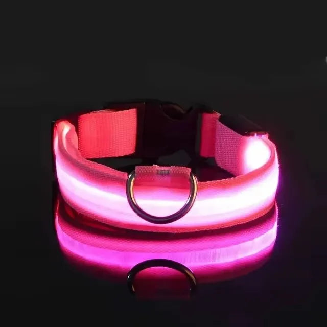 BOOTEELY Nylon LED Night Safety Flashing Glow In The Dark Dog Leash Dogs Luminous Fluorescent Pet Dog Collar
