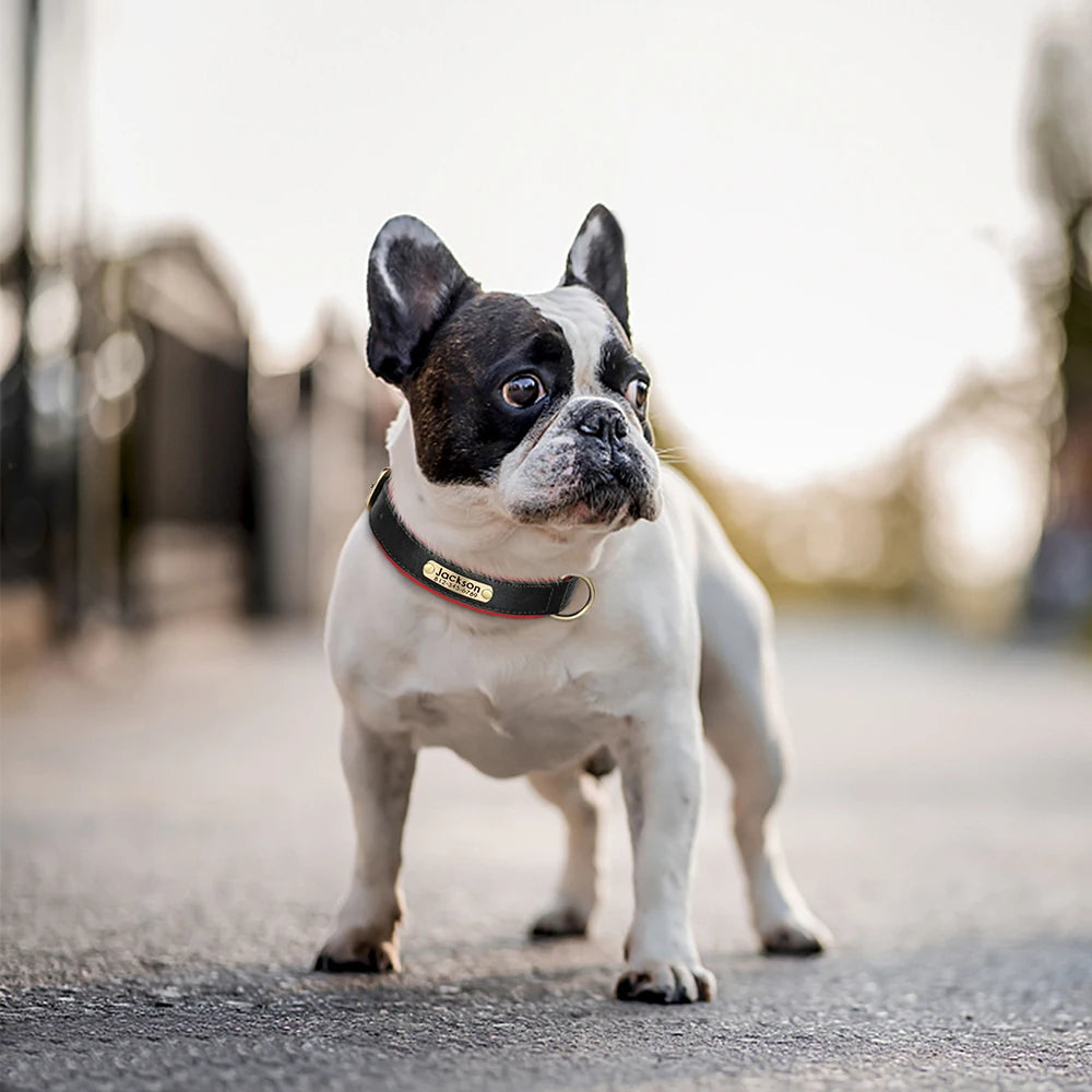 Collar personalizado de cuero PU con nombre grabado y acolchado suave. Para todas las razas