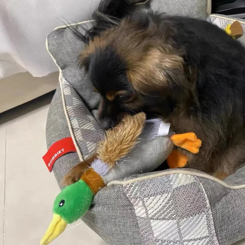 Cute Plush Duck Dogs Squeak Toys Funny Pet Play Intereactive Chew Toy