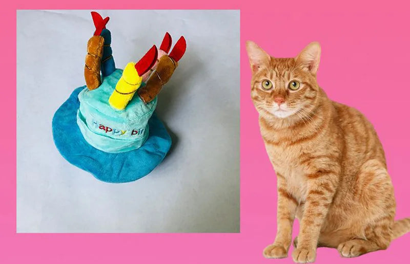 Pet Dog Hat for Birthday Party Adjustable Dog Hats Cats Dog Costumes Puppy Grooming Dress Up Hat Pet Supplies