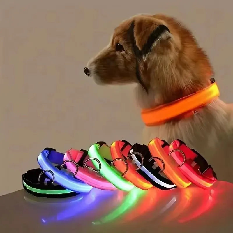 BOOTEELY Nylon LED Night Safety Flashing Glow In The Dark Dog Leash Dogs Luminous Fluorescent Pet Dog Collar