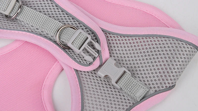 Conjunto de arnés y correa para perros pequeños seguridad reflectiva y comodidad diaria