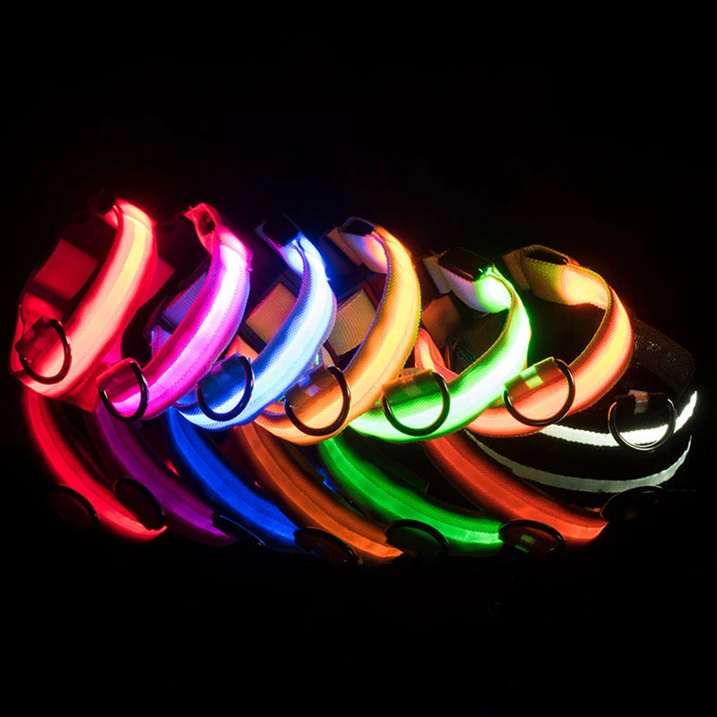 BOOTEELY Nylon LED Night Safety Flashing Glow In The Dark Dog Leash Dogs Luminous Fluorescent Pet Dog Collar