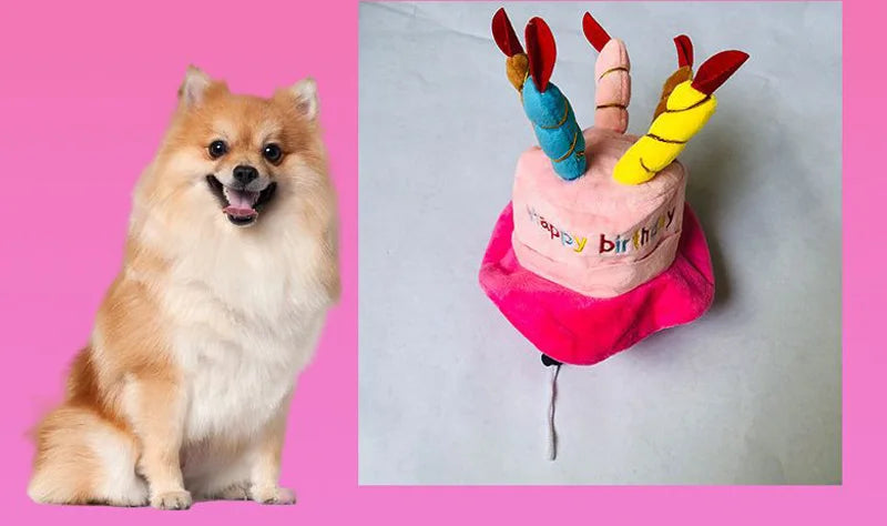 Pet Dog Hat for Birthday Party Adjustable Dog Hats Cats Dog Costumes Puppy Grooming Dress Up Hat Pet Supplies