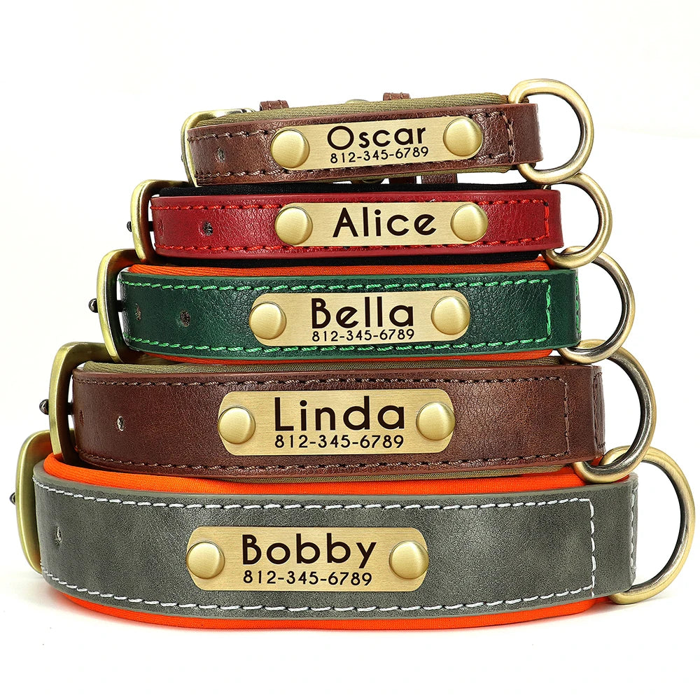 Collar personalizado de cuero PU con nombre grabado y acolchado suave. Para todas las razas