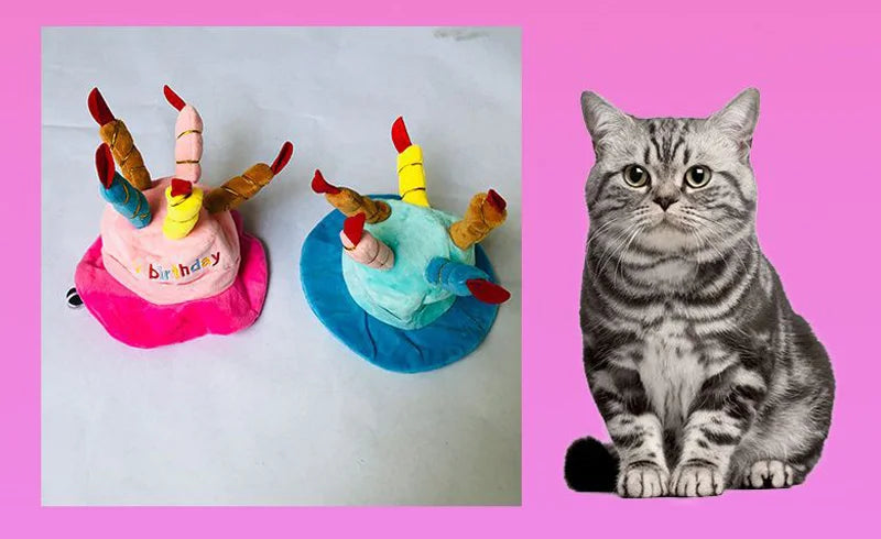 Pet Dog Hat for Birthday Party Adjustable Dog Hats Cats Dog Costumes Puppy Grooming Dress Up Hat Pet Supplies