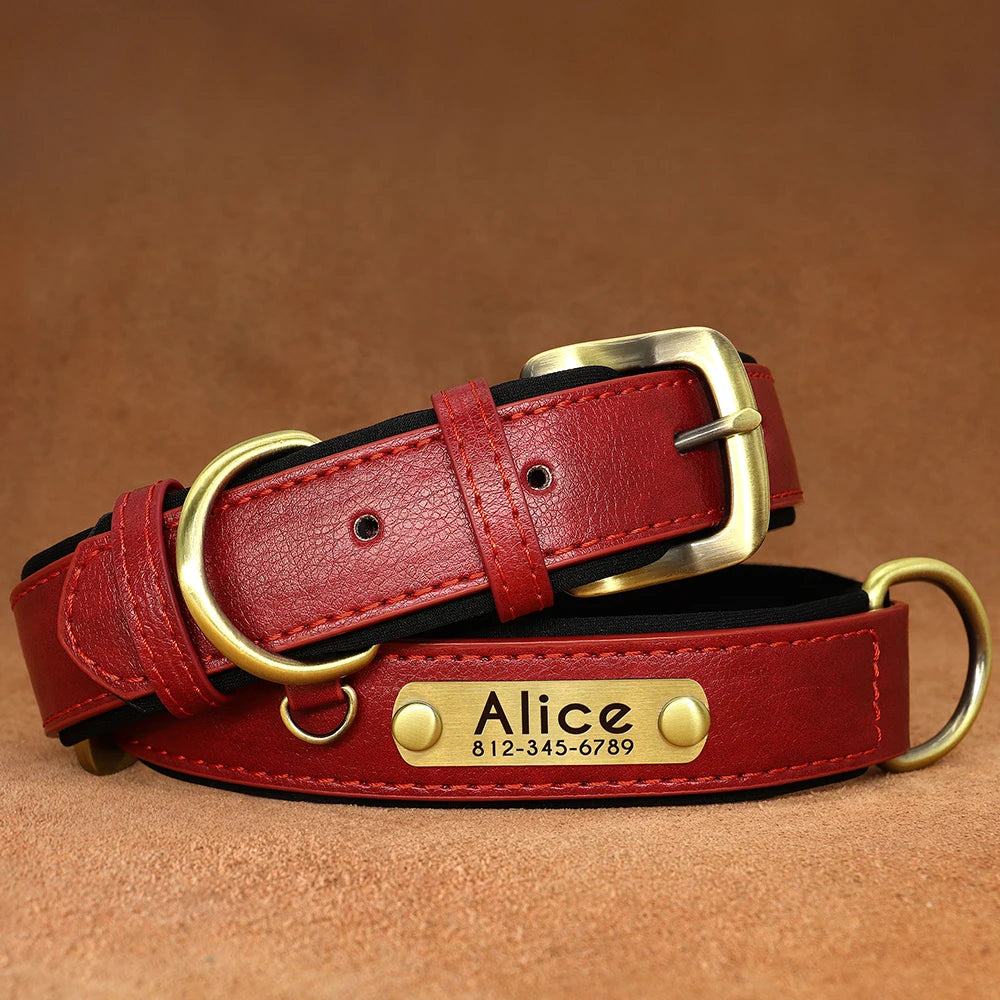 Collar personalizado de cuero PU con nombre grabado y acolchado suave. Para todas las razas