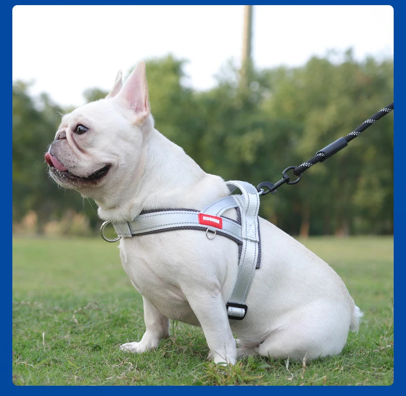 NEW Dogs Harness Saddle-type Pet Chest Strap for Small Medium Large Dogs Harnesses Puppy Collar Outdoor Walking Dogs Supplies