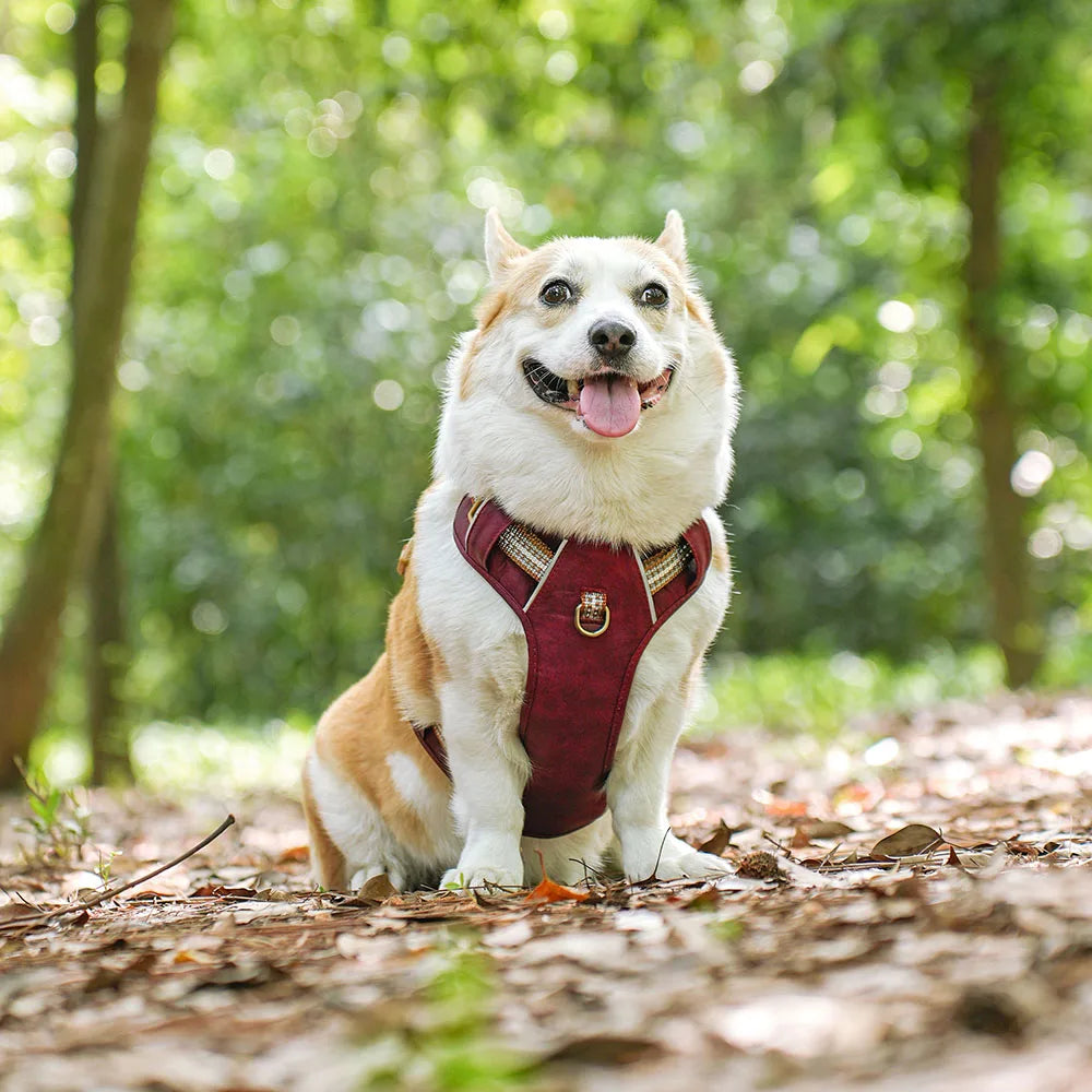 Waterproof PU Dog Harness Breathable Nylon Dog Harnesses Pet Training Walking Vest With Reflective Strip for Small Large Dogs