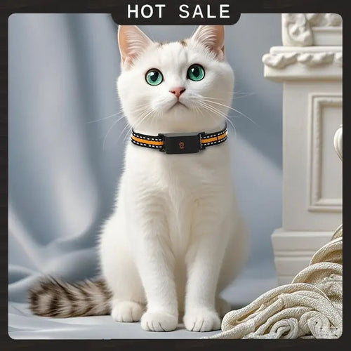 24-Hour Delivery 4G GPS Real Time Anti-Lost Animal Tracker Collar IP67 Waterproof Locator For Dog Cat Pet Fashion Neckband Neck