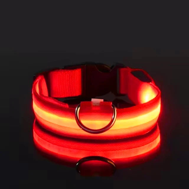 BOOTEELY Nylon LED Night Safety Flashing Glow In The Dark Dog Leash Dogs Luminous Fluorescent Pet Dog Collar
