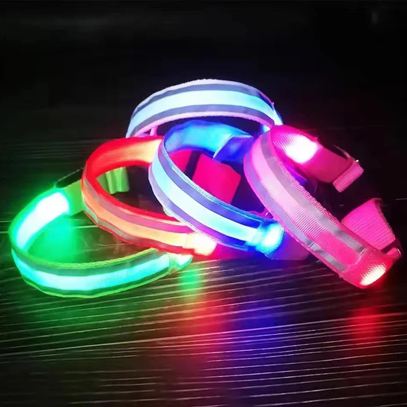 BOOTEELY Nylon LED Night Safety Flashing Glow In The Dark Dog Leash Dogs Luminous Fluorescent Pet Dog Collar