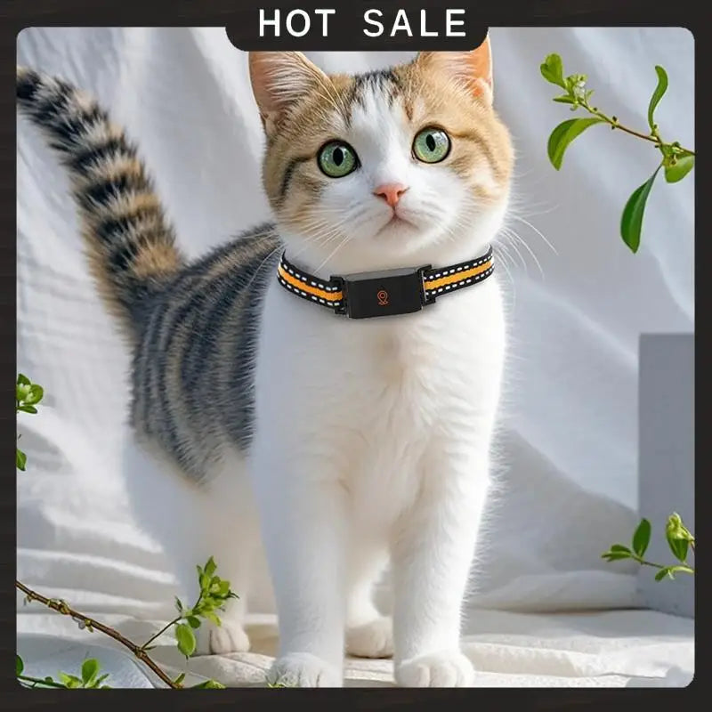 24-Hour Delivery 4G GPS Real Time Anti-Lost Animal Tracker Collar IP67 Waterproof Locator For Dog Cat Pet Fashion Neckband Neck