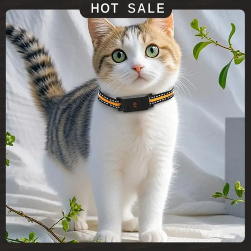 24-Hour Delivery 4G GPS Real Time Anti-Lost Animal Tracker Collar IP67 Waterproof Locator For Dog Cat Pet Fashion Neckband Neck