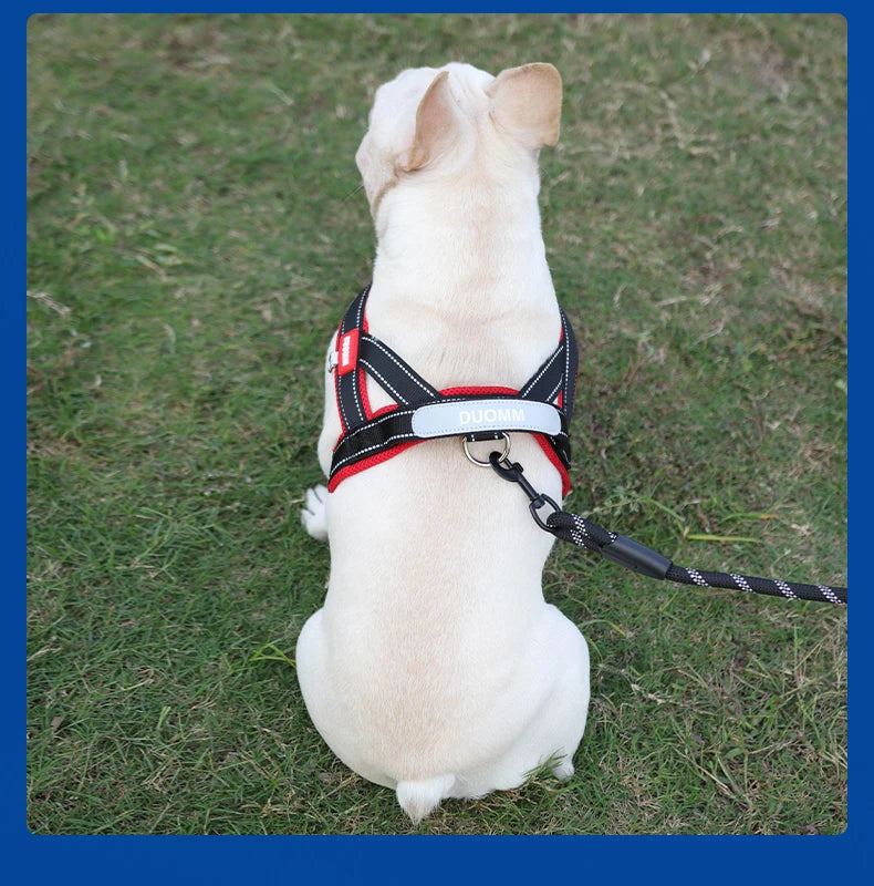 NEW Dogs Harness Saddle-type Pet Chest Strap for Small Medium Large Dogs Harnesses Puppy Collar Outdoor Walking Dogs Supplies