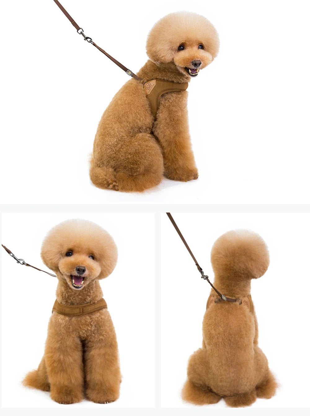 Small Dog Vest Harness Leash Set Pet Chest Strap Walking Medium Dog Harness