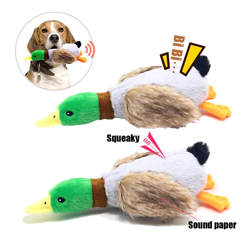 Cute Plush Duck Dogs Squeak Toys Funny Pet Play Intereactive Chew Toy