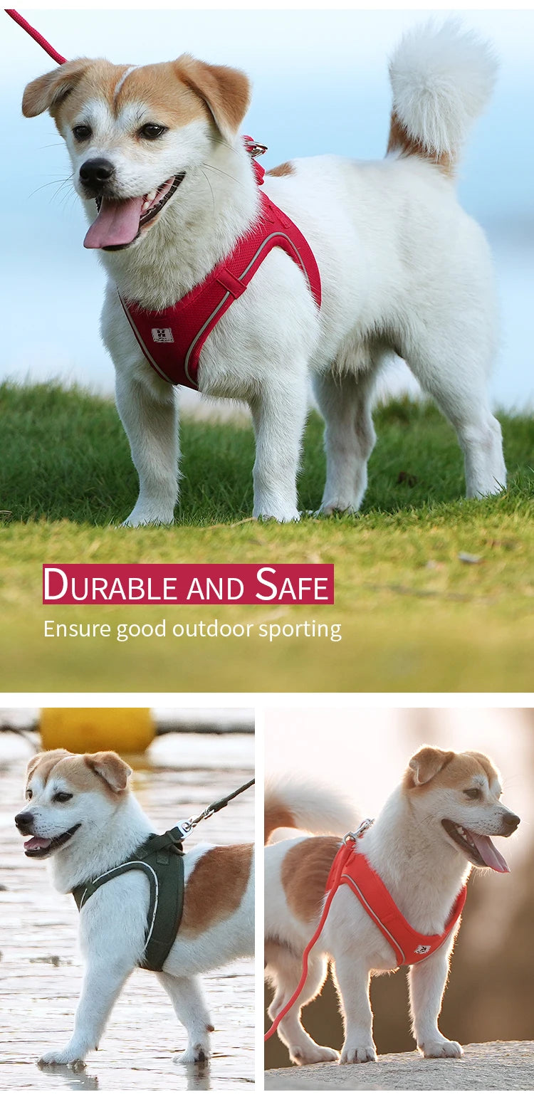 Dog Harness Leash Set for small medium dog Adjustable Reflective Puppy Cat Harness pet Vest Chihuahua Yorkies Outdoor Walking