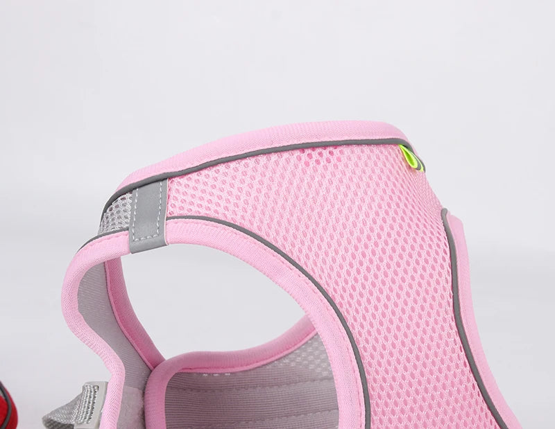 Conjunto de arnés y correa para perros pequeños seguridad reflectiva y comodidad diaria