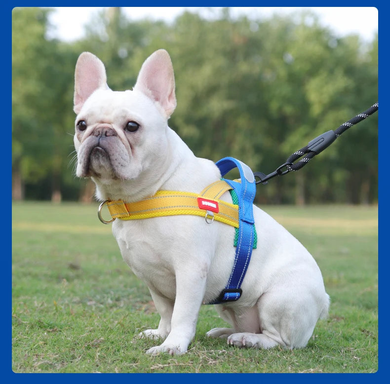 NEW Dogs Harness Saddle-type Pet Chest Strap for Small Medium Large Dogs Harnesses Puppy Collar Outdoor Walking Dogs Supplies