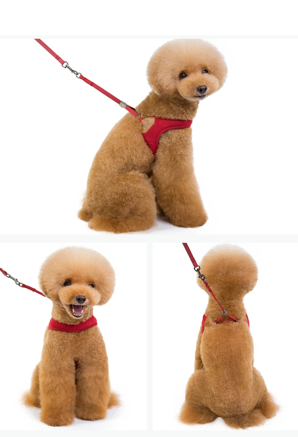 Small Dog Vest Harness Leash Set Pet Chest Strap Walking Medium Dog Harness