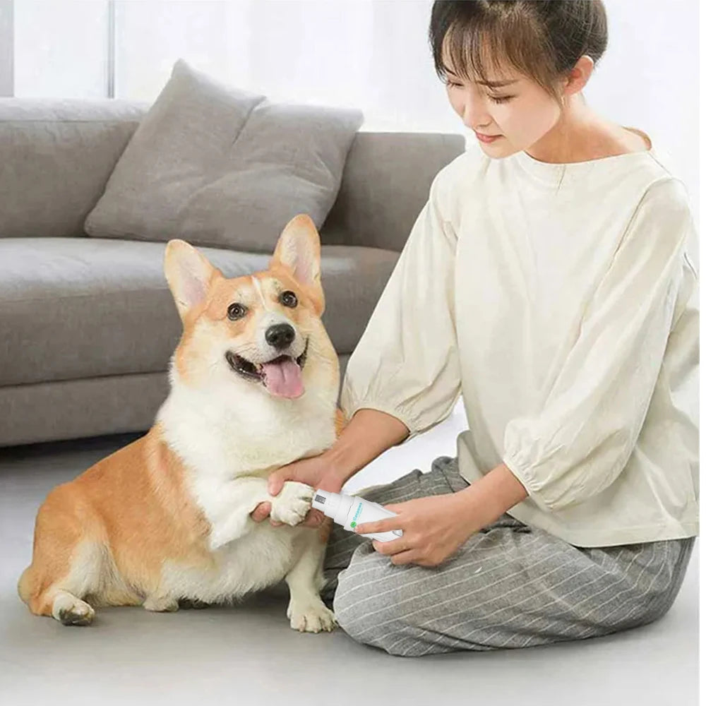 Electric Pet Nail Grinder USB Rechargeable Dog Nail Clippers Elektrische Nail Grinder With Led Light Nail Grooming Trimmer