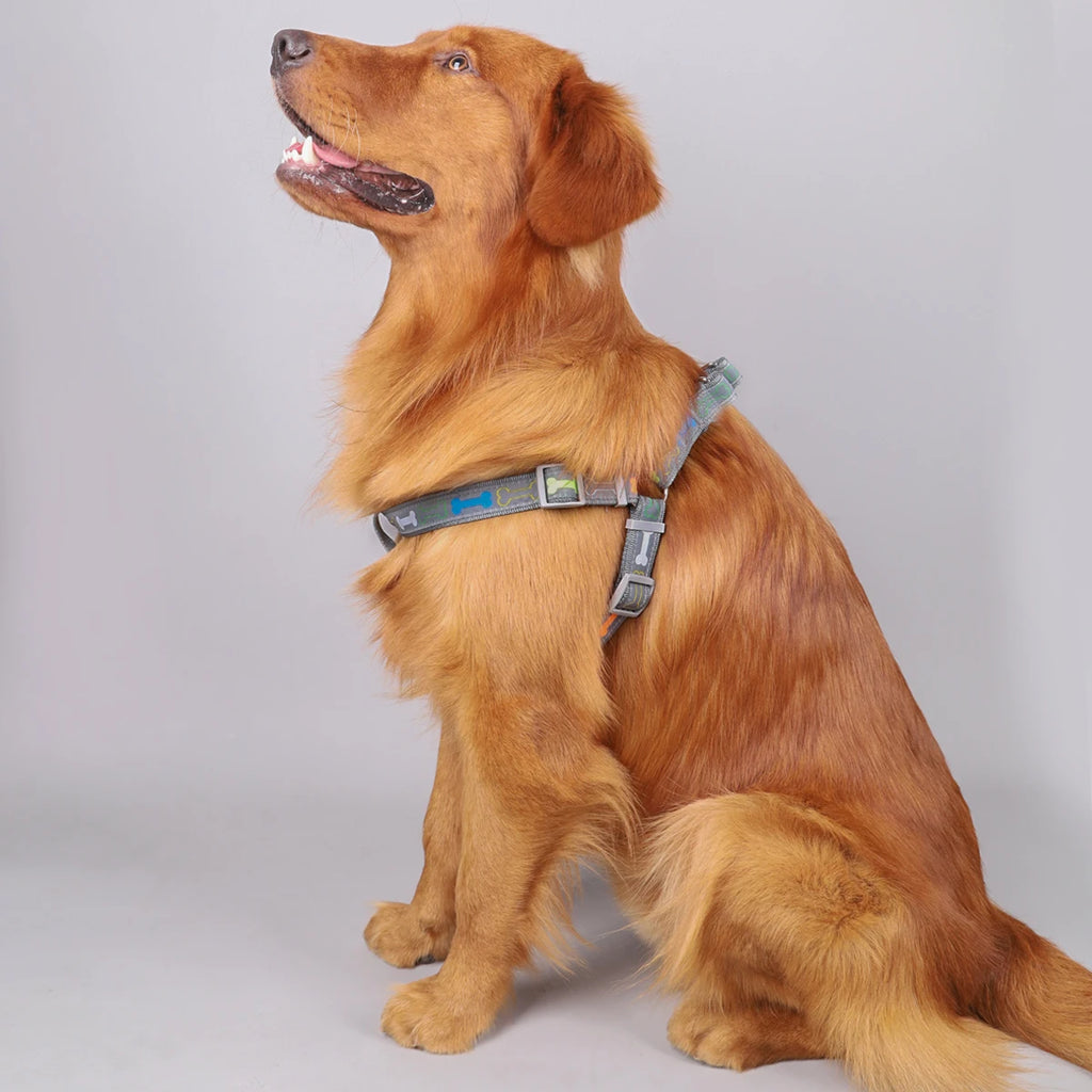 A colorful bone tripod pet dog harness for indoor and outdoor use