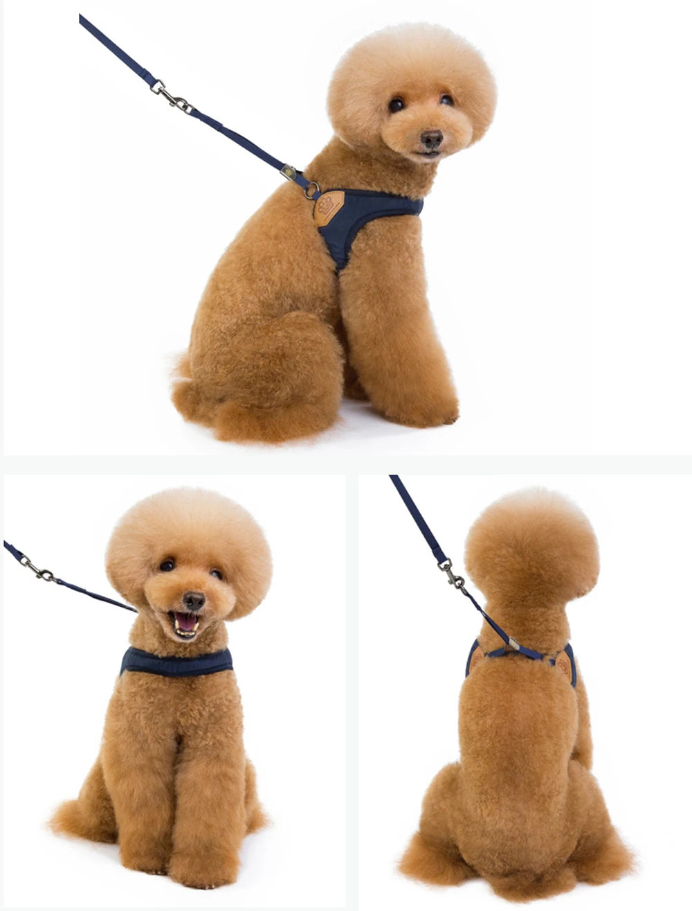 Small Dog Vest Harness Leash Set Pet Chest Strap Walking Medium Dog Harness