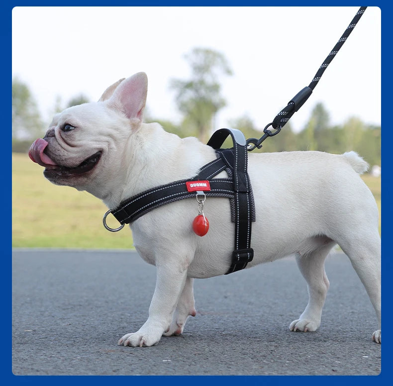 NEW Dogs Harness Saddle-type Pet Chest Strap for Small Medium Large Dogs Harnesses Puppy Collar Outdoor Walking Dogs Supplies